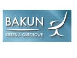 1415351551_BAKUN.jpg